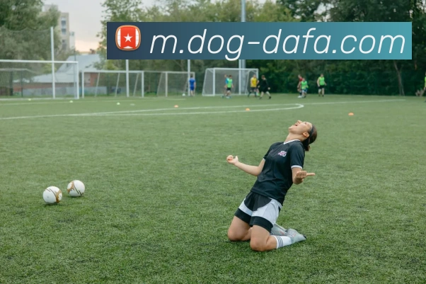 大发娱乐发展历程